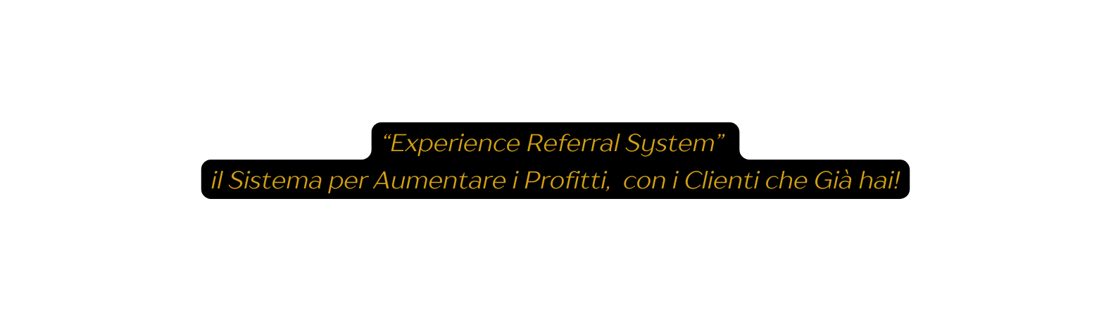 Experience Referral System il Sistema per Aumentare i Profitti con i Clienti che Già hai